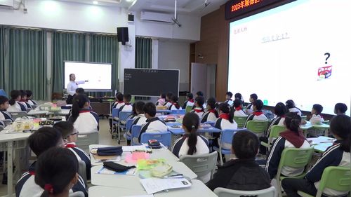 《什么是面积》北师大版三下数学2025优质课大赛视频