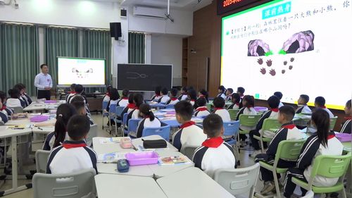 什么是面积 - 优质课公开课视频专辑