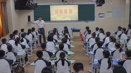 认识面积 - 优质课公开课视频专辑