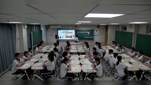 《揭开情绪的面纱》部编版七下道德与法治展示课视频