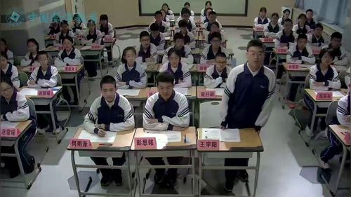 《锐角三角函数》北师大版九下数学2025第十四届数学青年教师说播课赛课一等奖视频
