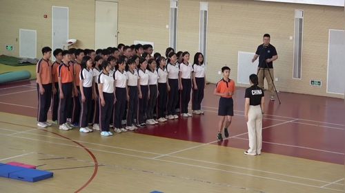 《垫上技巧——头手倒立及小组合（上）》初中体育与健康2025名师空中课堂教学优质课视频