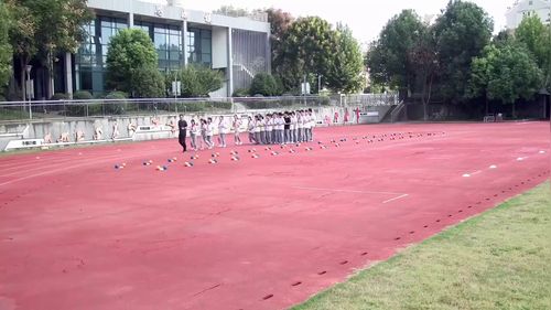 《原地双手头上前 掷实心球》初中体育与健康2025名师空中课堂教学优质课视频