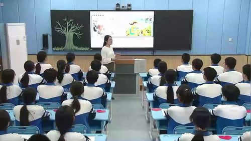 《Unit 2 Lesson 3 Making a difference 》冀教版七下英语2025优质课赛课视频