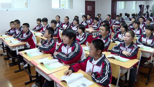 《清朝的边疆治理》部编版七下历史2025优质示范课视频
