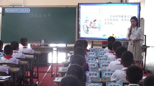 海底世界 - 优质课公开课视频专辑