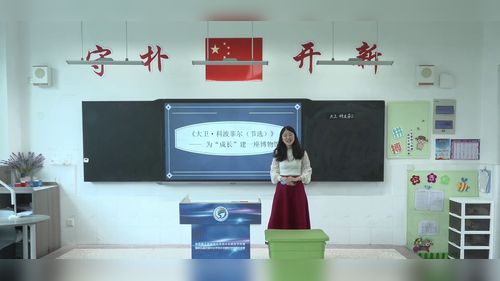大卫 - 优质课公开课视频专辑