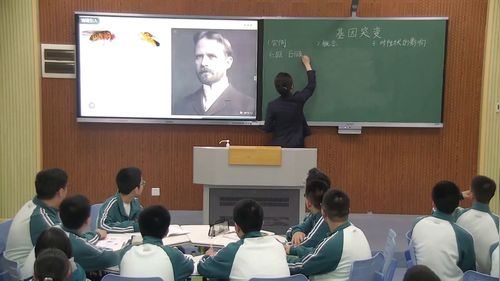 《基因突变》人教版高中生物必修二名师展示课视频