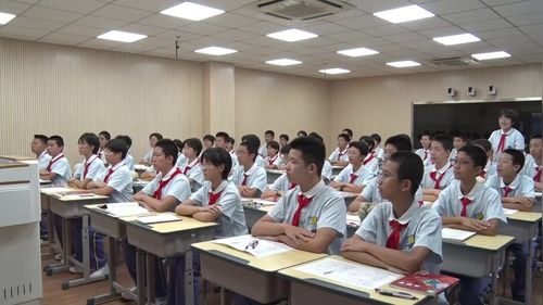 神经系统的组成 - 优质课公开课视频专辑