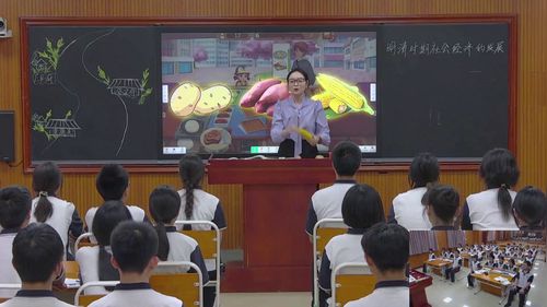 《明清时期社会经济的发展》部编版七下历史2025优质示范课视频