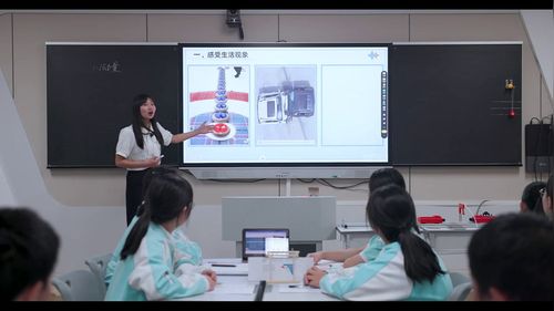 动量 - 优质课公开课视频专辑