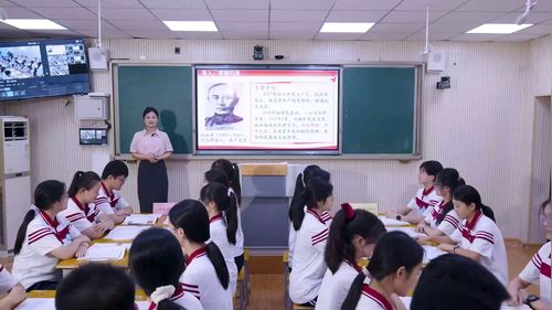 《新时代中国特色社会主义的伟大成就》部编版高一历史展示课视频