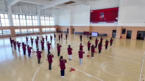 《弹腿和蹬腿组合》小学四年级体育与健康展示课视频