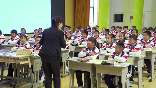 数的再认识 - 优质课公开课视频专辑