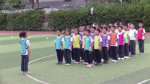 《野外生存-辨别方向》小学一年级体育与健康（水平一）2025教学新时空展示课视频