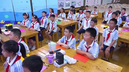 《独一无二的你》小学心理健康教育展示课视频