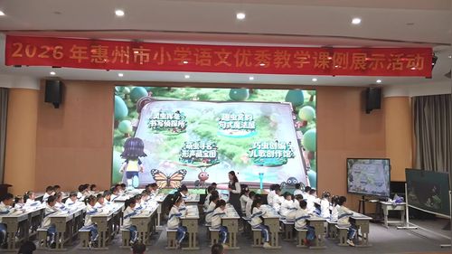 动物儿歌 - 优质课公开课视频专辑
