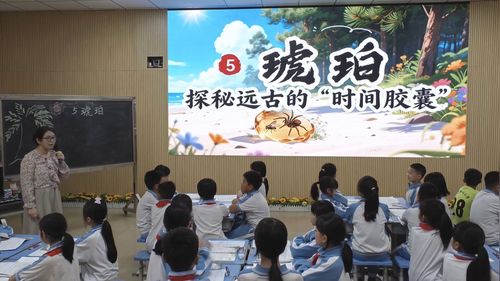 《琥珀》部编版四下语文2026小学语文主题教研活动展示课视频