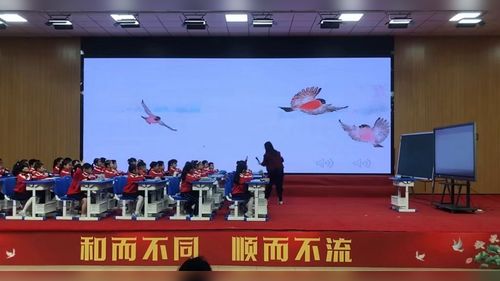 灰雀 - 优质课公开课视频专辑