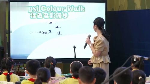 Colour - 优质课公开课视频专辑