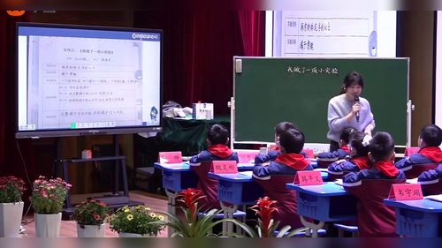 我做了一项小实验 - 优质课公开课视频专辑