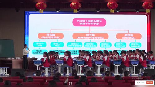 辩论 - 优质课公开课视频专辑