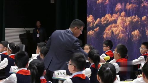 白桦 - 优质课公开课视频专辑