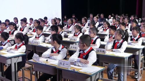 《琥珀》部编版四下语文青年教师展示2025观摩课视频