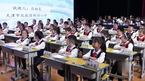 池子与河流 - 优质课公开课视频专辑