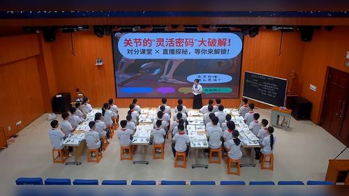 《关节》人教版七下生物2025展示课视频