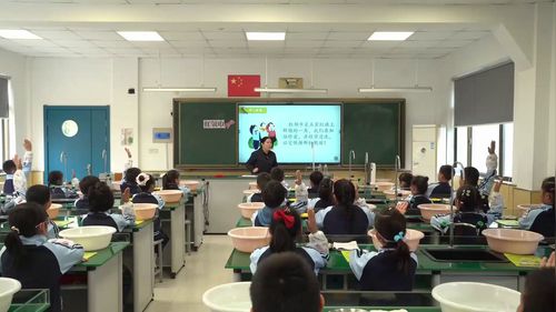 《红领巾》小学劳动展示课视频