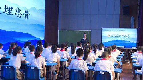 《青山处处埋忠骨》部编版五下语文研讨课视频