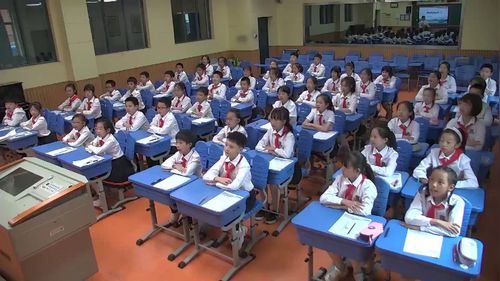 《青山处处埋忠骨》部编版五下语文展示课视频