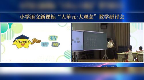《蜘蛛开店》部编版二下语文优课视频