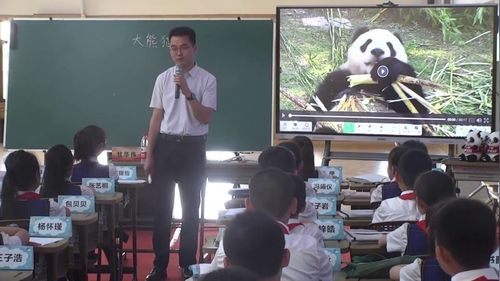 国宝大熊猫 - 优质课公开课视频专辑