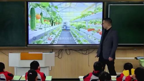 《两位数乘两位数的笔算》苏教版三下数学研讨课视频
