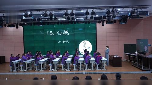 白鹅 - 优质课公开课视频专辑