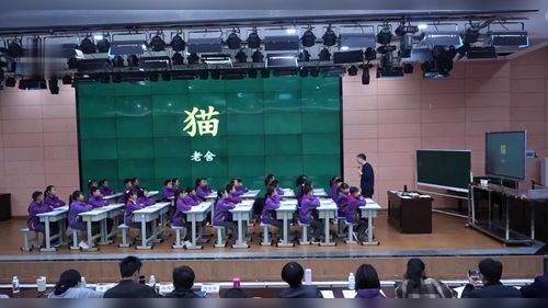 《猫》 - 优质课教学视频专辑