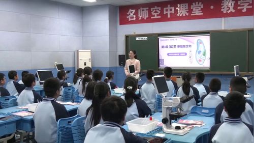 《单细胞生物》苏科版七上生物2025名师课堂教学新时空展示课视频