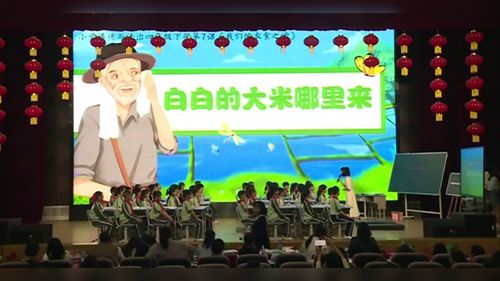 《白白的大米哪里来》部编版二下道德与法治2026赛课一等奖视频