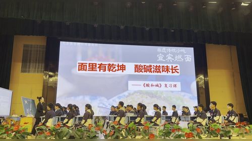 《酸和碱复习课3》鲁教版九下化学2026优课视频