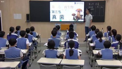 《真菌》冀教版八上生物展示课视频