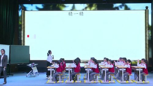 琥珀 - 优质课教学视频专辑