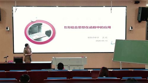 《数形结合思想在函数中的应用》人教版高中数学说课视频