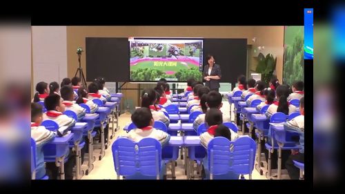 《条形统计图》北师大版四年级数学2026“聚焦统计”名师展示课视频