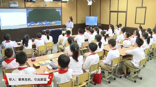 《向海而行，共筑蔚蓝》小学六年级2025主题班会展示课视频