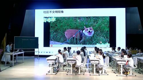 《共创宠物友好社区 给萌宠设个公厕》小学三年级2026班主任项目化学习班会成果展示课一等奖视频