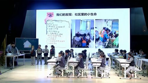 《社区小暖屋 守护小生命》小学中年段2026班主任项目化学习班会成果展示课视频