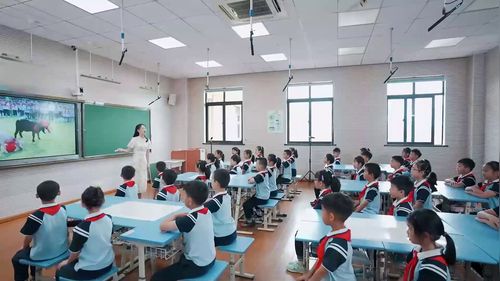 《小伙伴的力量》2025小学低年级主题班会展示课视频