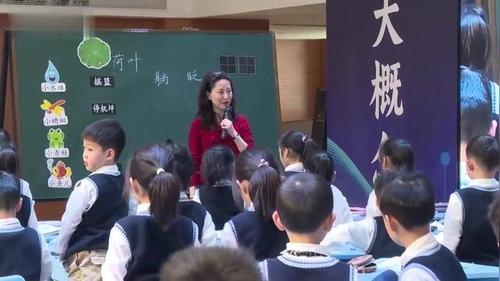 《荷叶圆圆》部编版一下语文2025优课视频